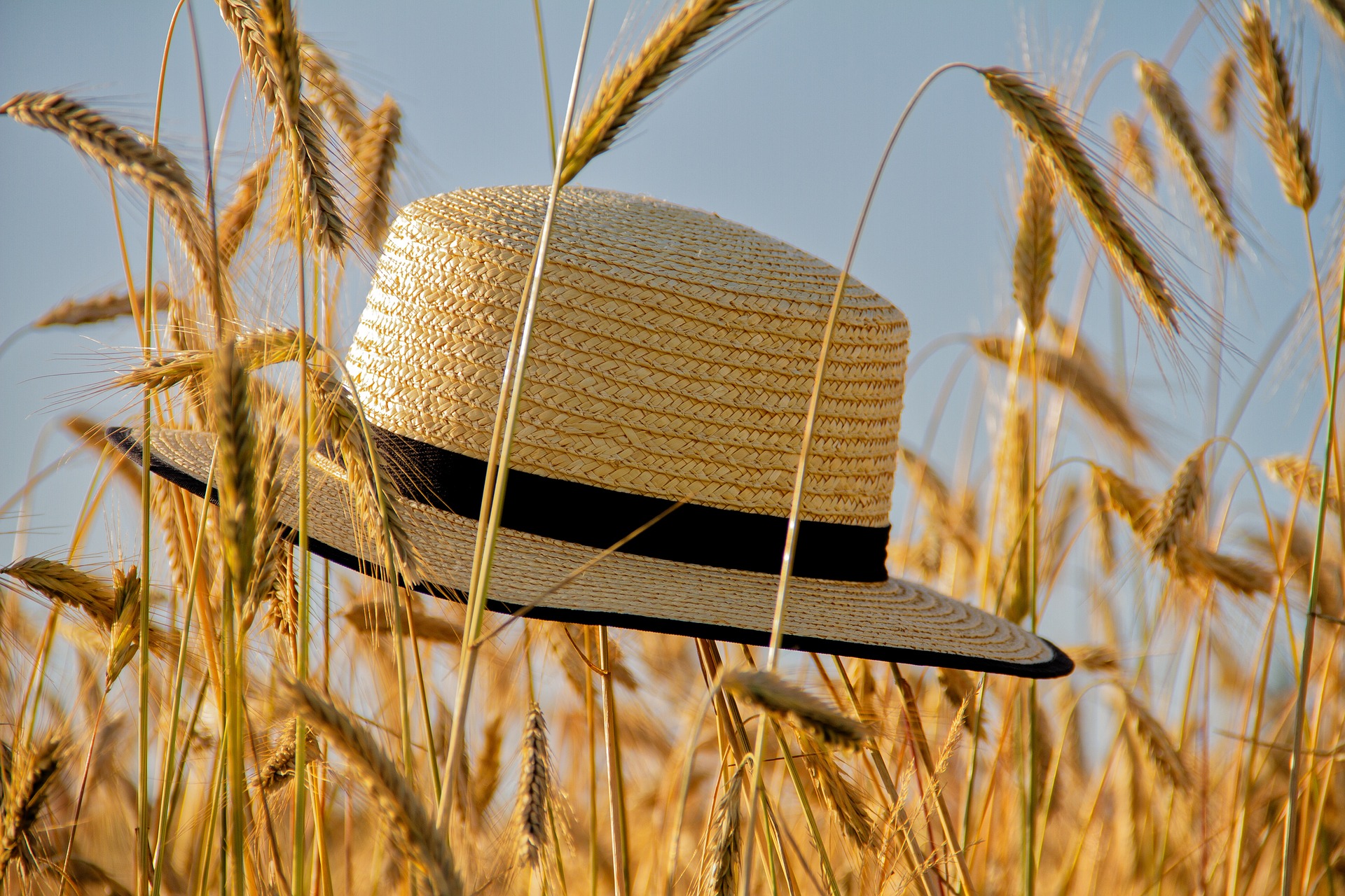 Descubre mis imprescindibles de verano