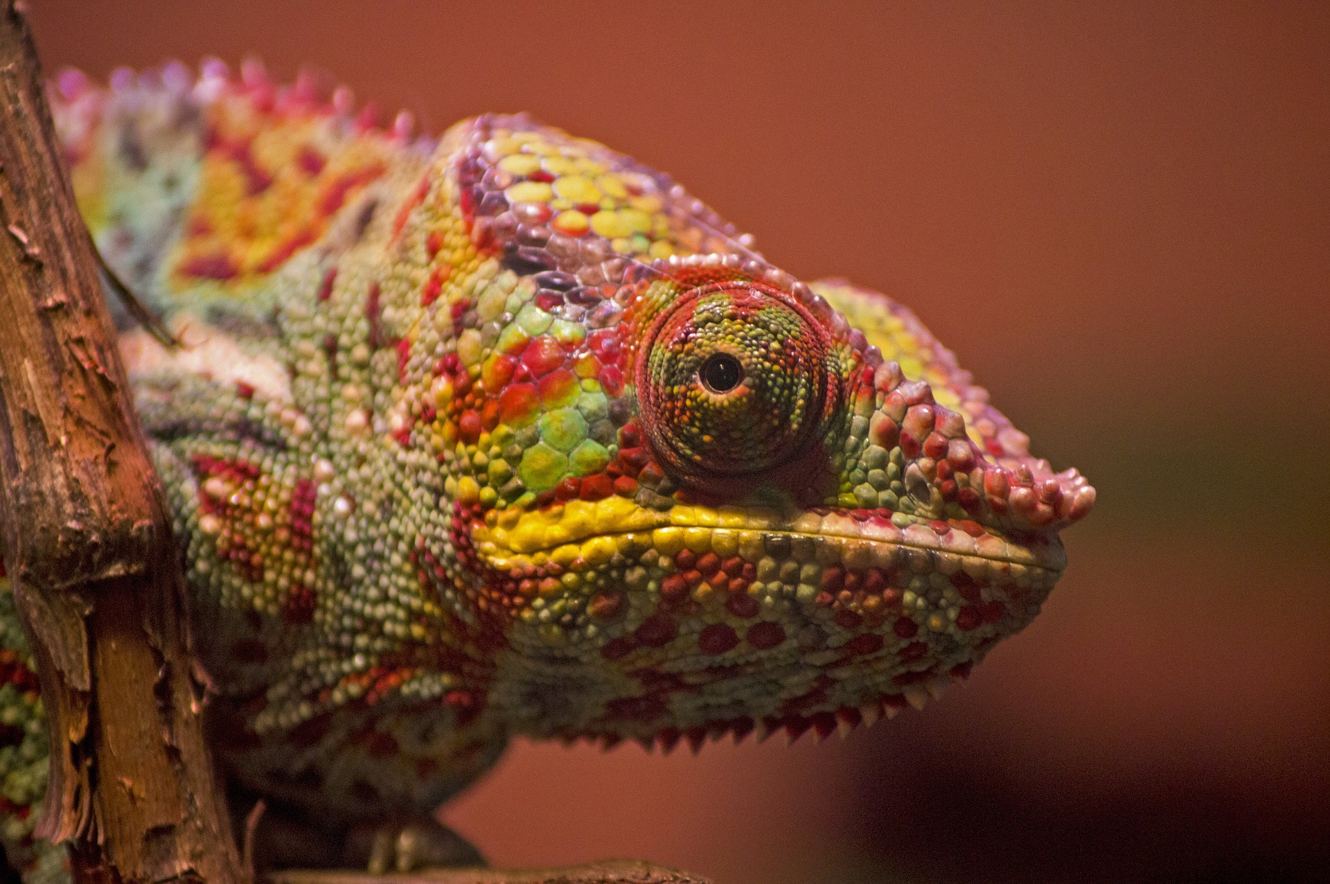 Colorimetria