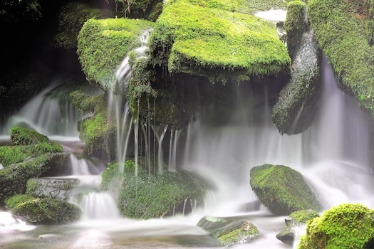 Agua de Musgo Secretos del Agua
