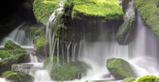 Agua de Musgo Secretos del Agua